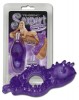 SexpertSexpert